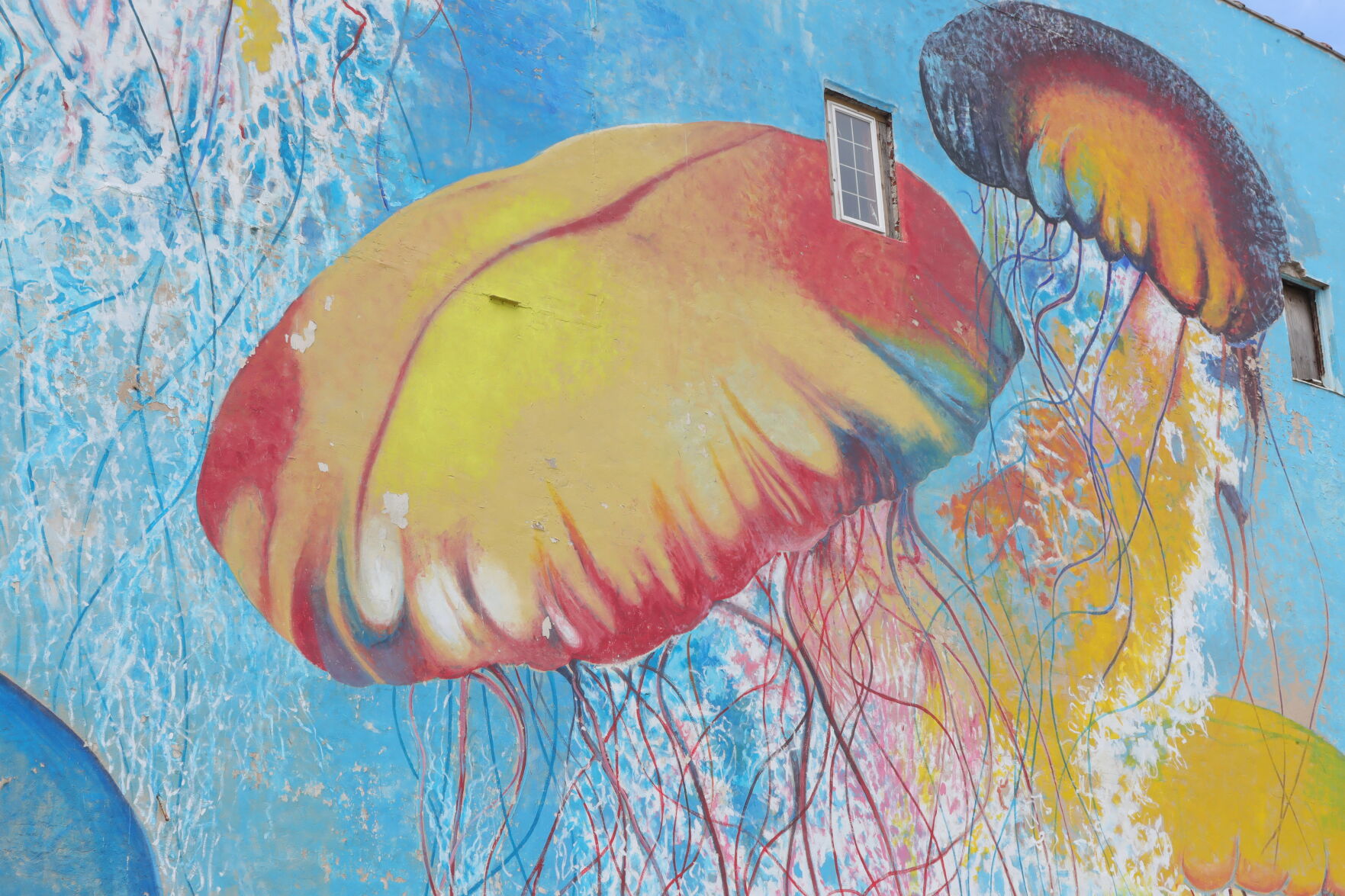 muralscbardin